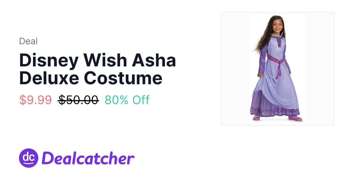 JCPenney - Disney Wish Asha Deluxe Costume $9.99