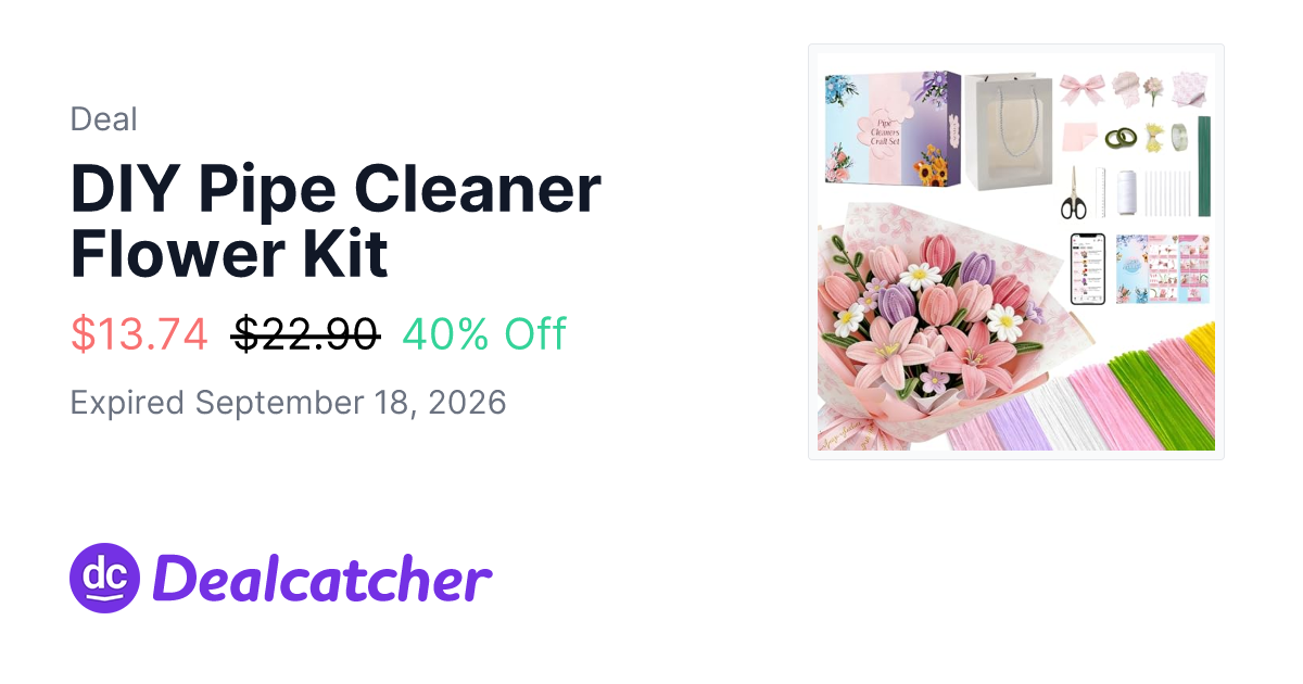 Amazon - DIY Pipe Cleaner Flower Kit $13.74