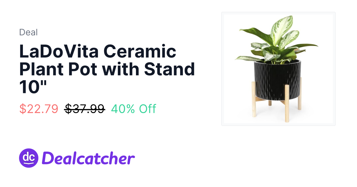 Amazon - LaDoVita Ceramic Plant Pot with Stand 10" $22.79