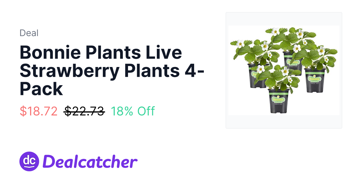 Amazon - Bonnie Plants Live Strawberry Plants 4-Pack $18.72