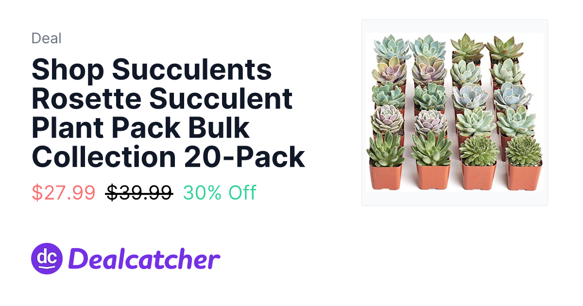 Amazon - Shop Succulents Rosette Succulent Plant Pack Bulk Collection 20-Pack $27.99