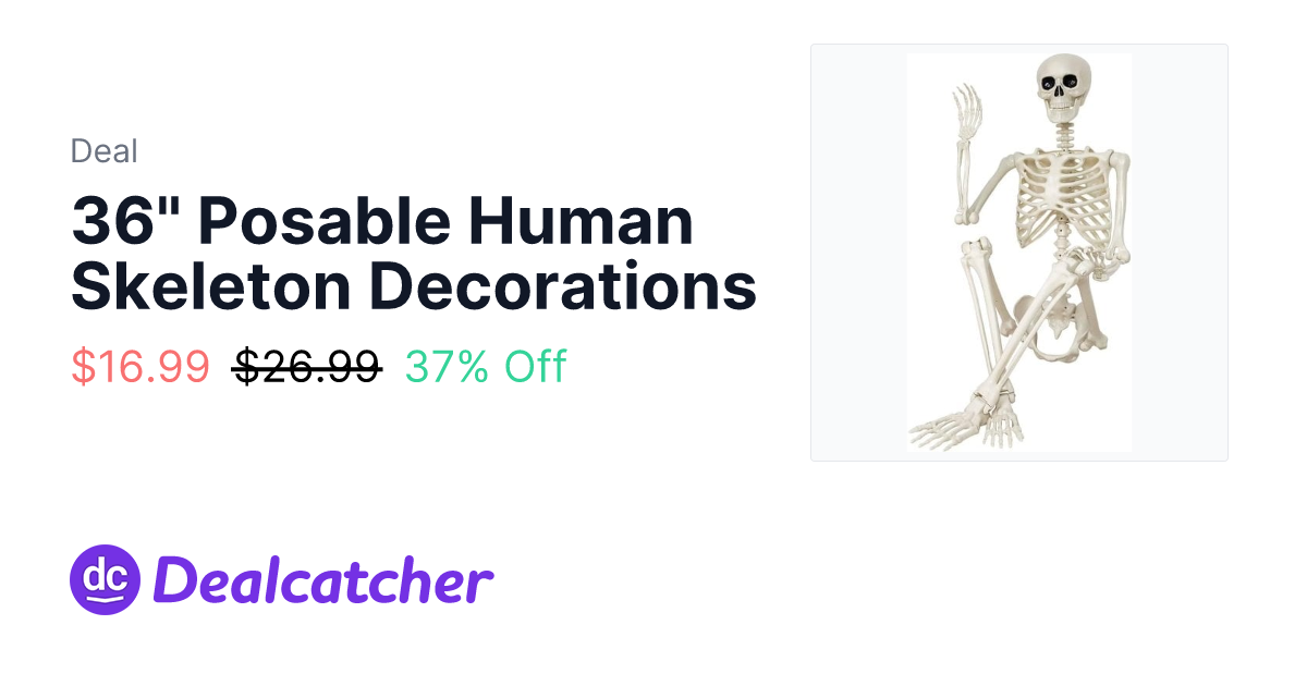 Amazon - 36" Posable Human Skeleton Decorations $16.99