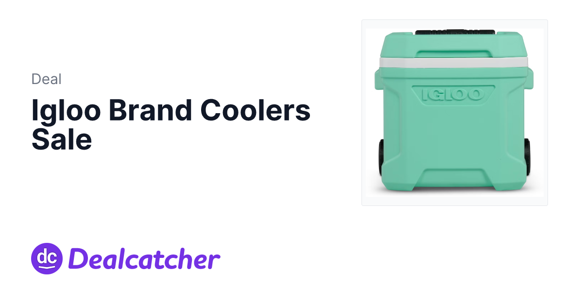Target - Igloo Brand Coolers Sale